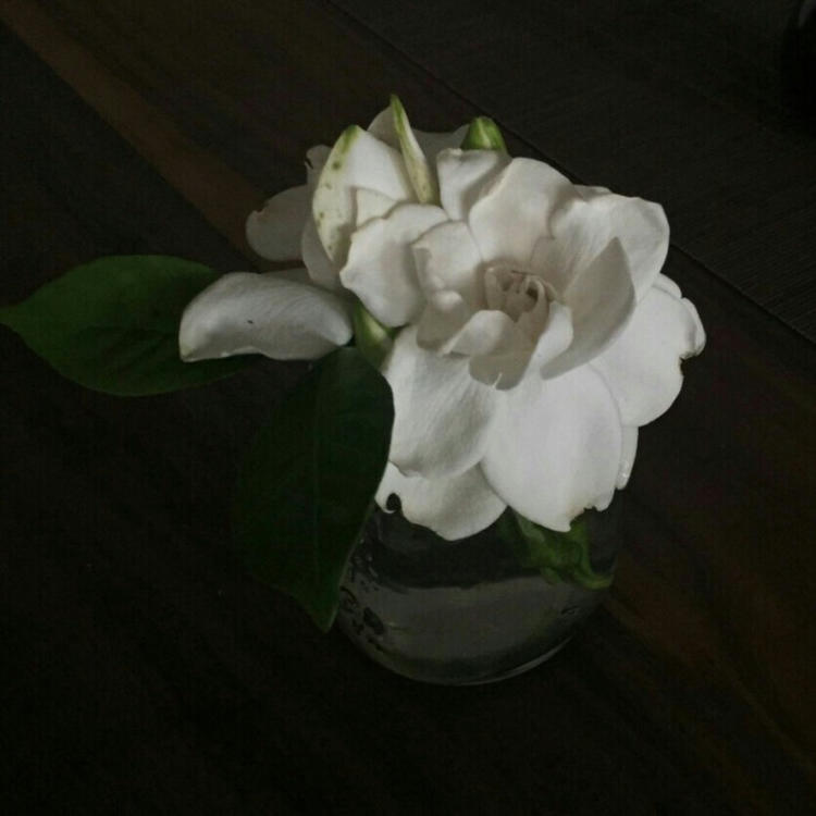 比古清十郎（身份：剑心师父、飞天御剑流第十三代传人） - 恐怖电影无删减在线观看 - 云端观影